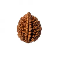 2MUKHI