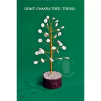 GOMTI CHAKRA TREE